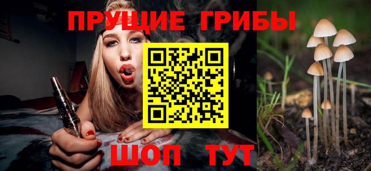 Псилоцибиновые грибы мухоморы Минеральные Воды